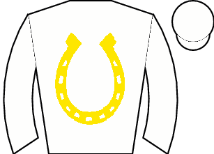 Horse silk