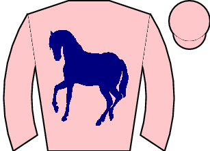 Horse silk