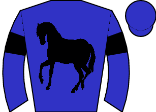 Horse silk