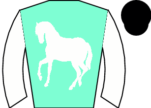 Horse silk