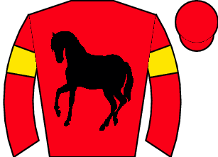 Horse silk