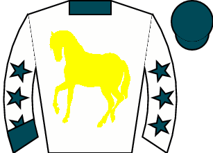 Horse silk