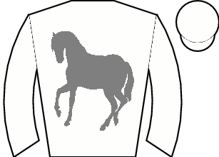 Horse silk