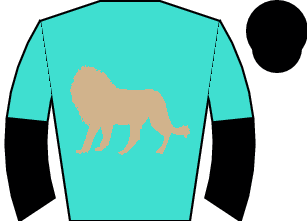 Horse silk