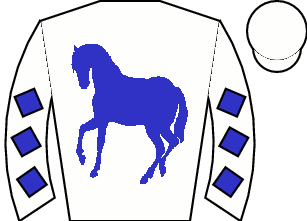 Horse silk