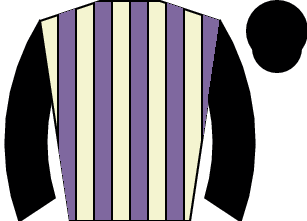 Horse silk