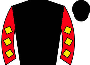 19:41 Horseshoe Indianapolis - 14 October 2024 - Racecard - Horse ...