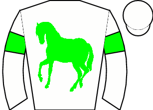 Horse silk