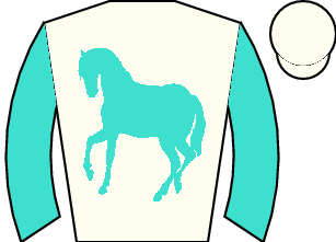 Horse silk