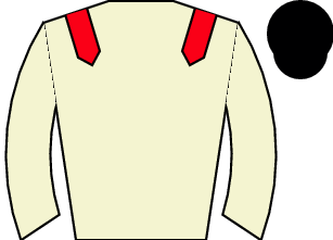 Horse silk