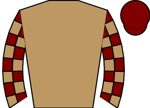 Horse silk