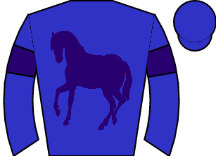 Horse silk