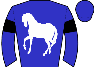 Horse silk