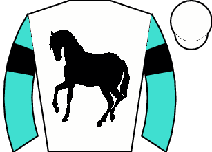 Horse silk