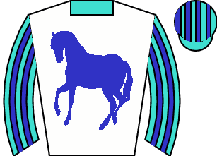 Horse silk