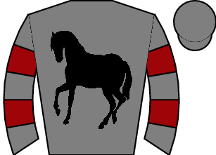 Horse silk