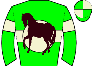 Horse silk