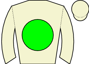 Horse silk