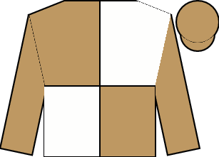 Horse silk