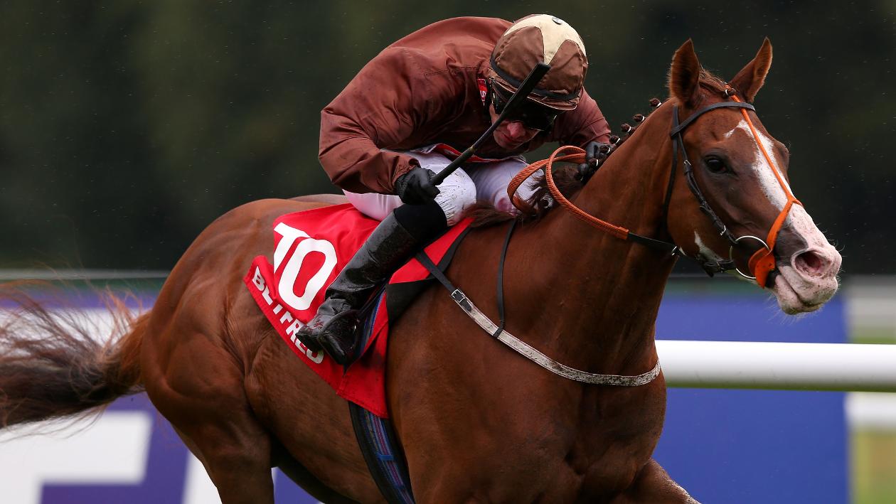 Top Notch Tonto thriving in new career