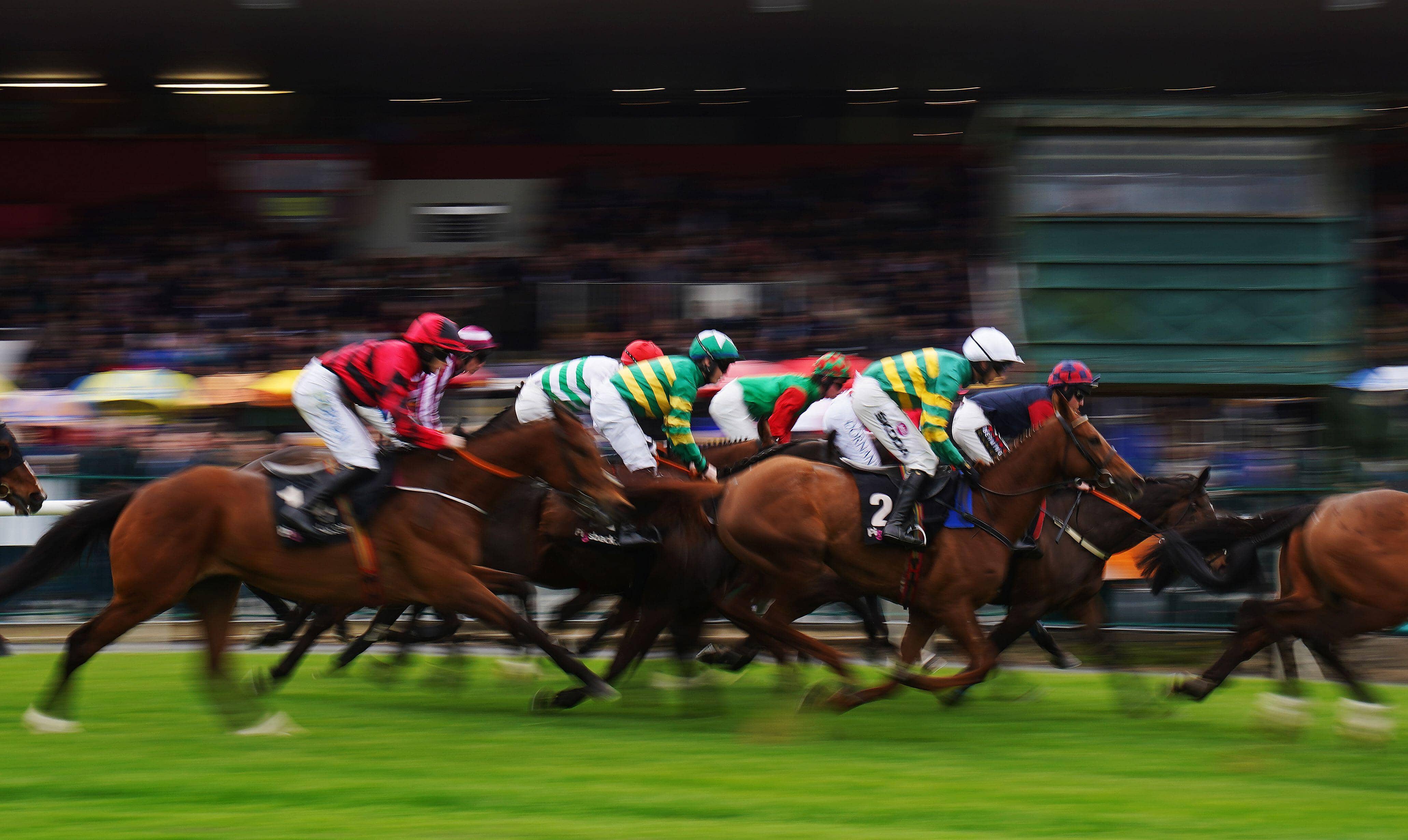 Sporting Life Plus sign up banner, with padlock and horse racing background.